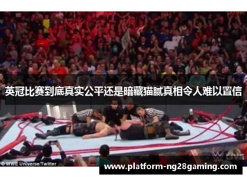 英冠比赛到底真实公平还是暗藏猫腻真相令人难以置信