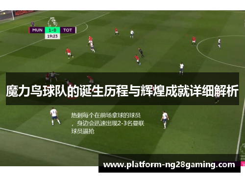 魔力鸟球队的诞生历程与辉煌成就详细解析