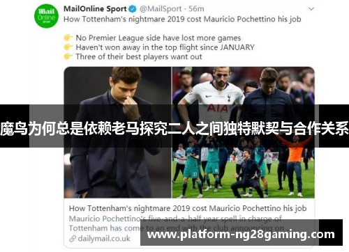 魔鸟为何总是依赖老马探究二人之间独特默契与合作关系